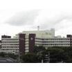 大学