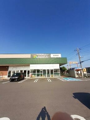 フレッセイ安堀店
