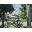 中学校