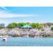 公園