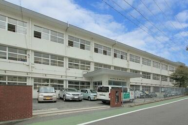 藤木小学校