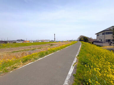 ◇現地横にランニングやお散歩にぴったりな土手あり♪