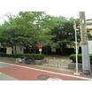 公園
