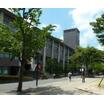 大学