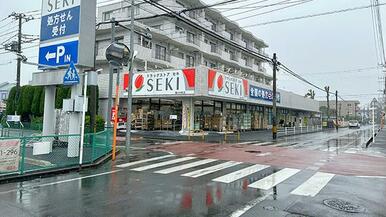 ドラッグストア セキ 堀の内町店