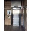 共有部分
