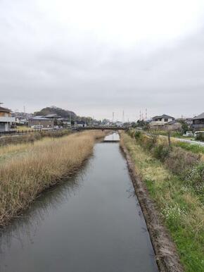 駅までの途中にある椎津川で、魚も採れます