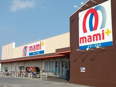 マミープラス 柏根戸店