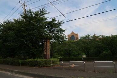 駿河台大学