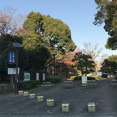 木場公園