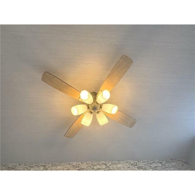 シーリングファン付き