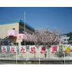 幼稚園、保育園