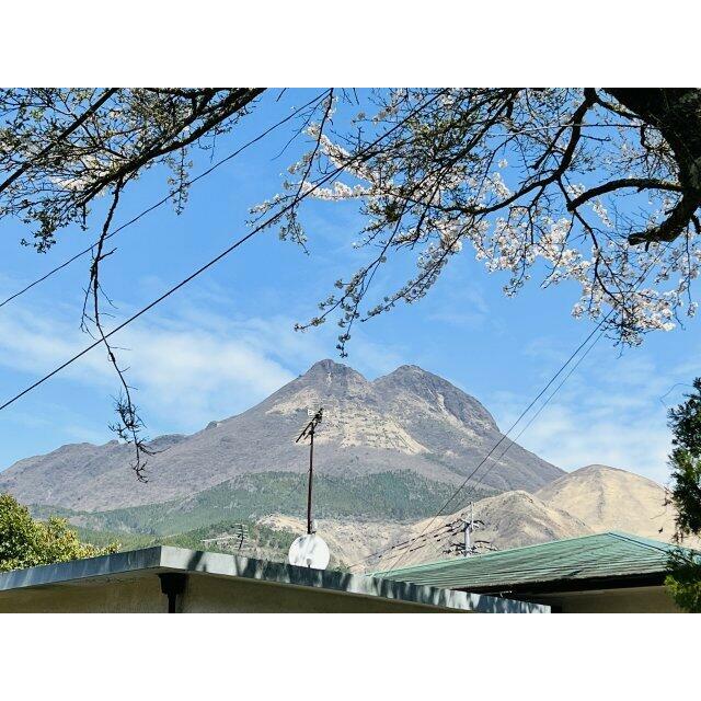 由布山が望めます！