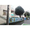 幼稚園、保育園