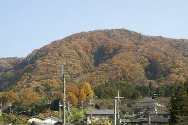 秋には素敵な紅葉を