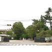 大学