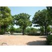 公園