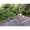 公園