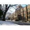 大学