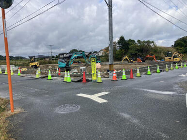 現地写真 2025年11月上旬