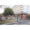 幼稚園、保育園