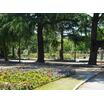公園