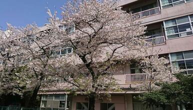 川口市立飯塚小学校