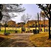 公園