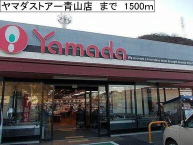 ヤマダストアー青山店