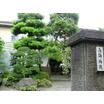 病院