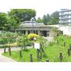 公園