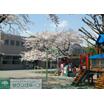 幼稚園、保育園