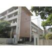 中学校