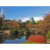 公園