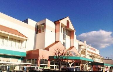 マルナカ栗林南店さん