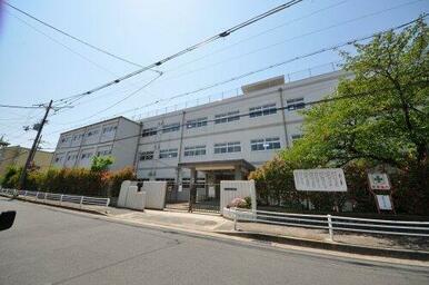 高石市立清高小学校