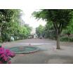 公園