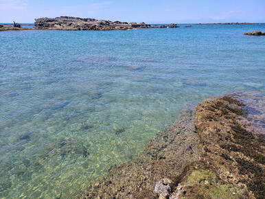 諸磯海岸に水は透き通っていてシュノーケリングをすると多くの魚が泳いているのが見えます。