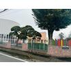 幼稚園、保育園
