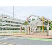 幼稚園、保育園