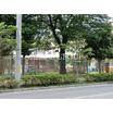 幼稚園、保育園