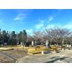 公園