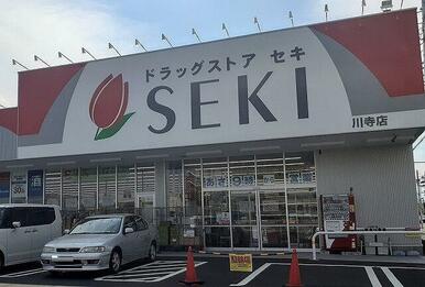 ドラッグストアセキ 川寺店