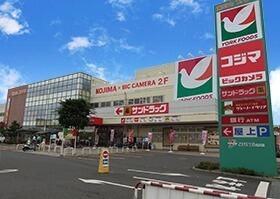 コジマ×ビックカメラ東村山店
