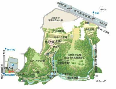 東高根森林公園