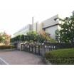 大学