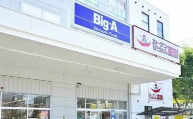 ビッグ・エー 横浜丸山台店
