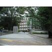 大学