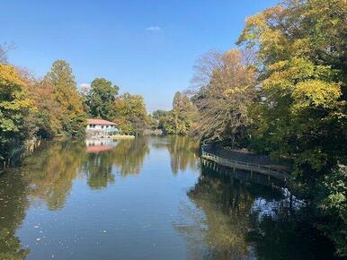 武蔵関公園