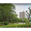 公園